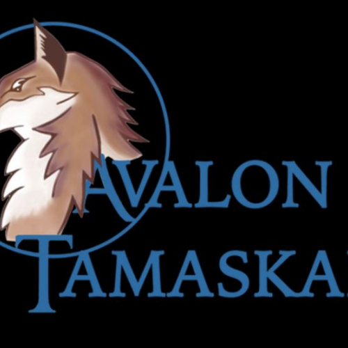 Avalon Tamaskan